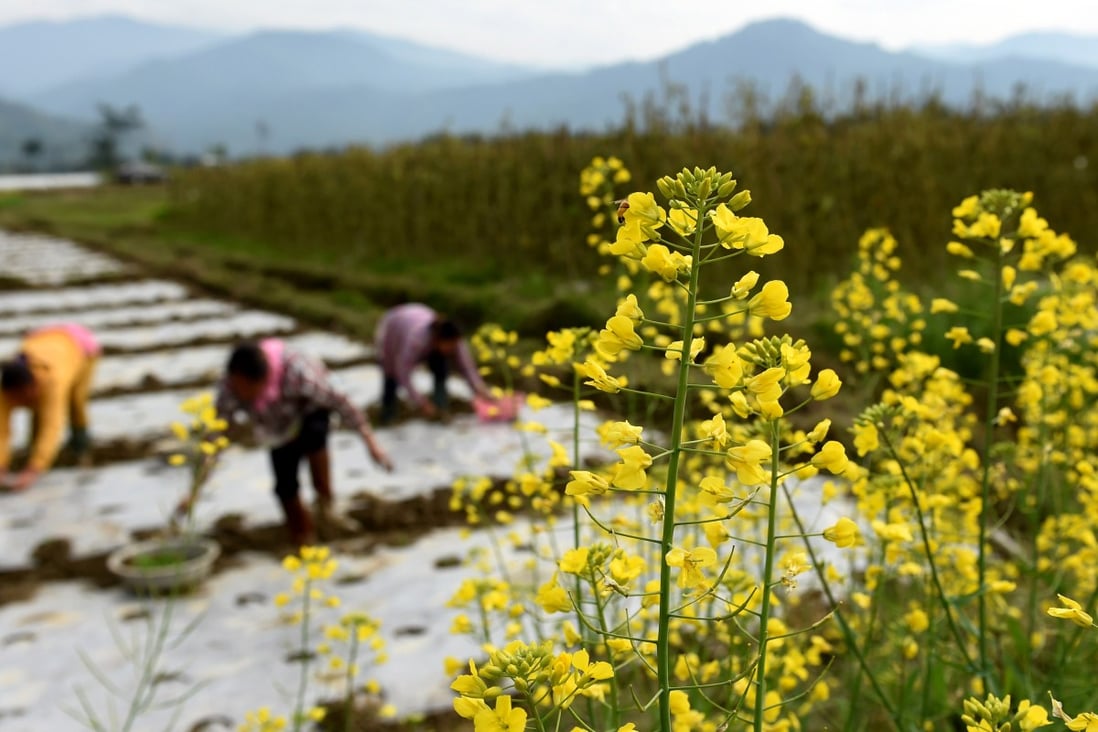 Agriculture accounted for 9.2 per cent of gross domestic product last year. Photo: Xinhua