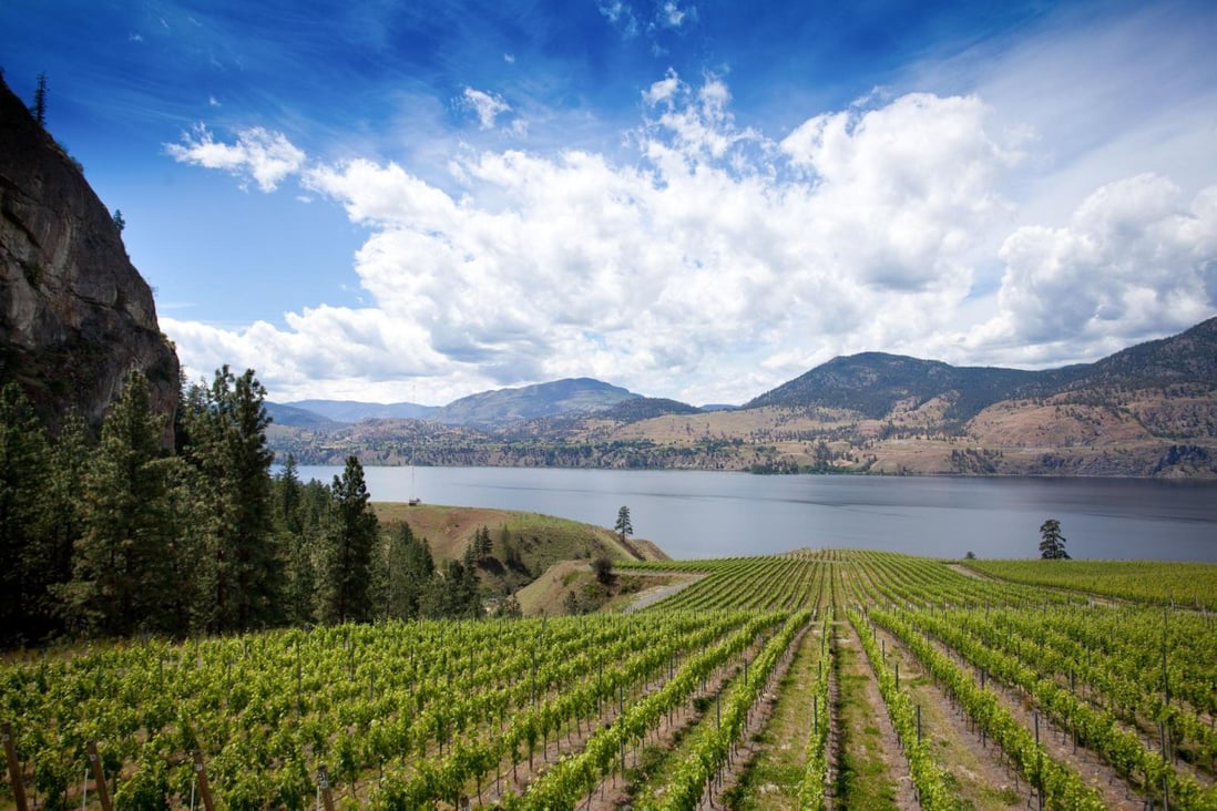 Wealthy Chinese have shifted their focus in British Columbia from residential real estate to wineries and farms. Photo: SCMP Pictures