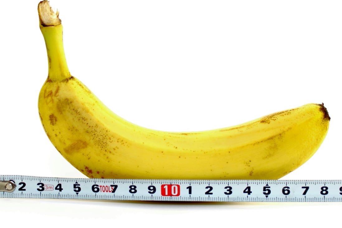 “The measurement of penis size may be important either in the assessment of men complaining of a small penis size or for academic interest,” write the researchers 