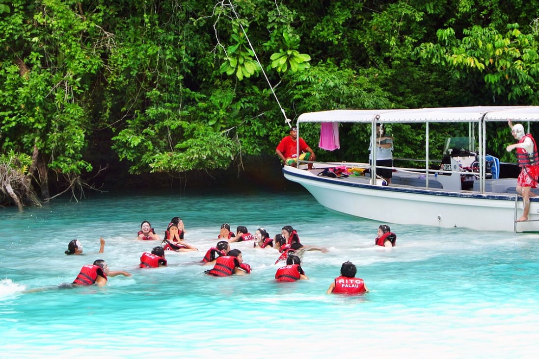 Chinese tourists in Palau jumping from their speedboat in the 'Milky Way', a picturesque lagoon whose floor is formed of white limestone mud. Photo: AFP