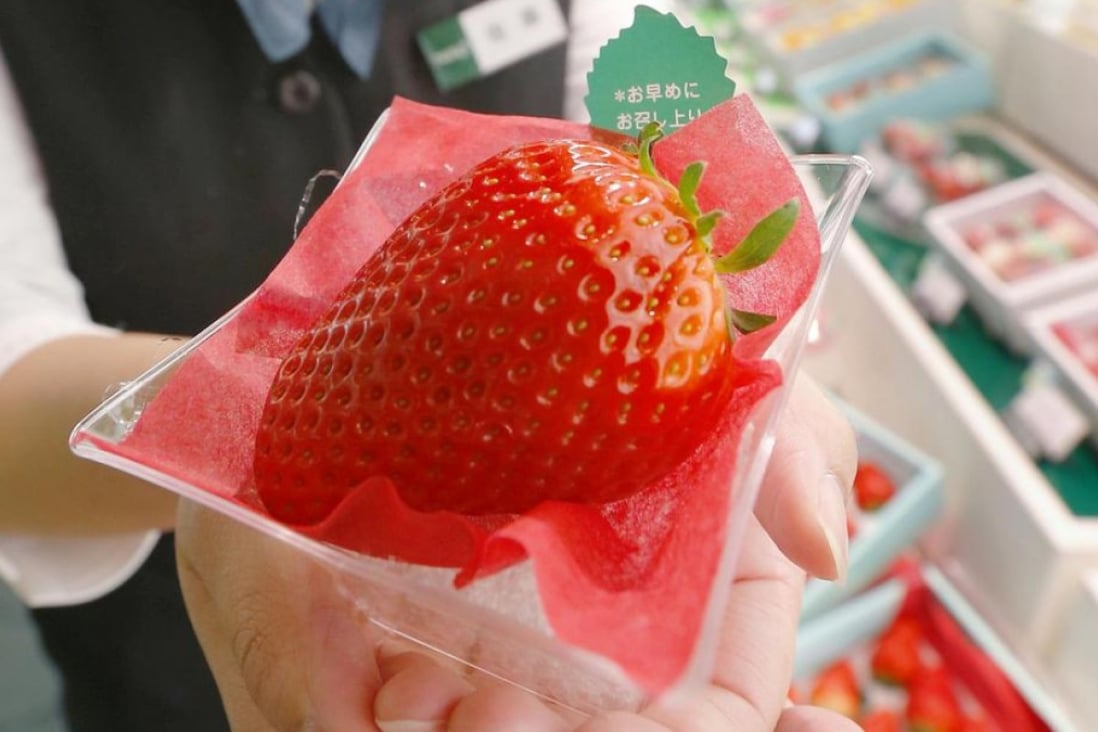 Would You Pay Hk 3 500 For One Strawberry In Japan They Do South China Morning Post Would You Pay Hk 3 500 For One Strawberry In Japan They Do South China Morning Post