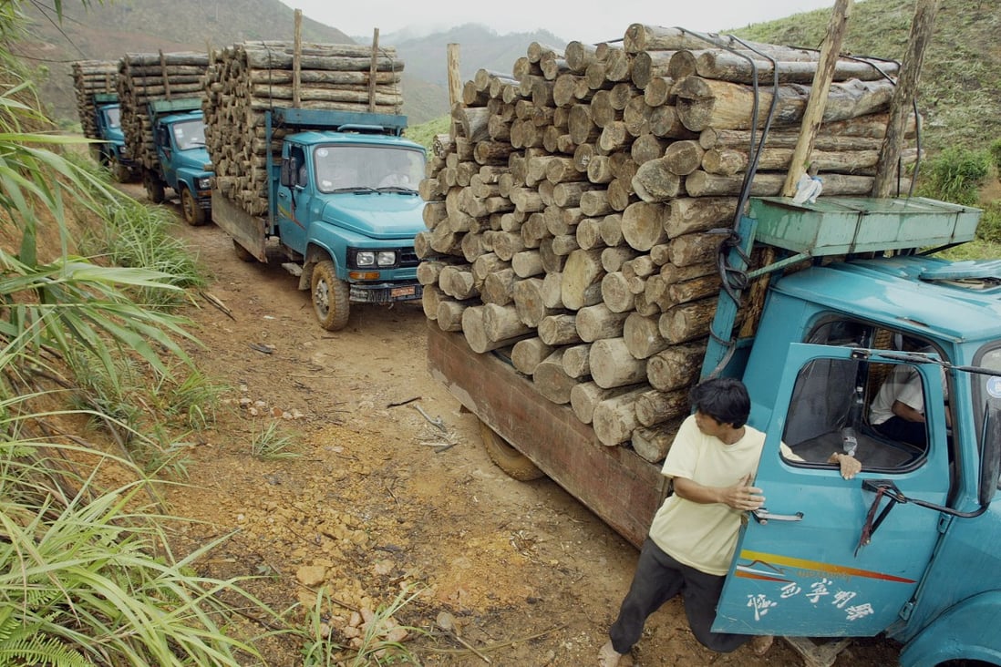 Vehicles transport logs across the Vietnam-China border. According to a new paper, the region's environment has been affected by ''aggressive'' human activity for more than 1,800 years. Photo: AFP
