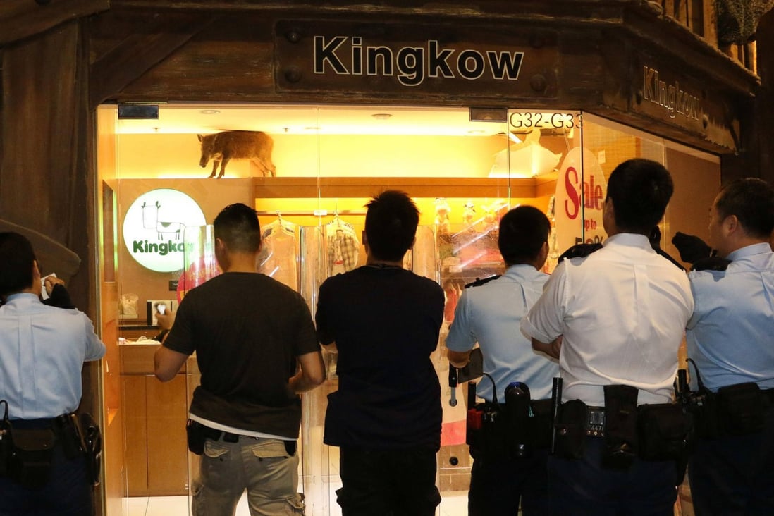 The boar takes up its position in a children's apparel store in Chai Wan as police officers ponder what to do with it. Photos: SCMP