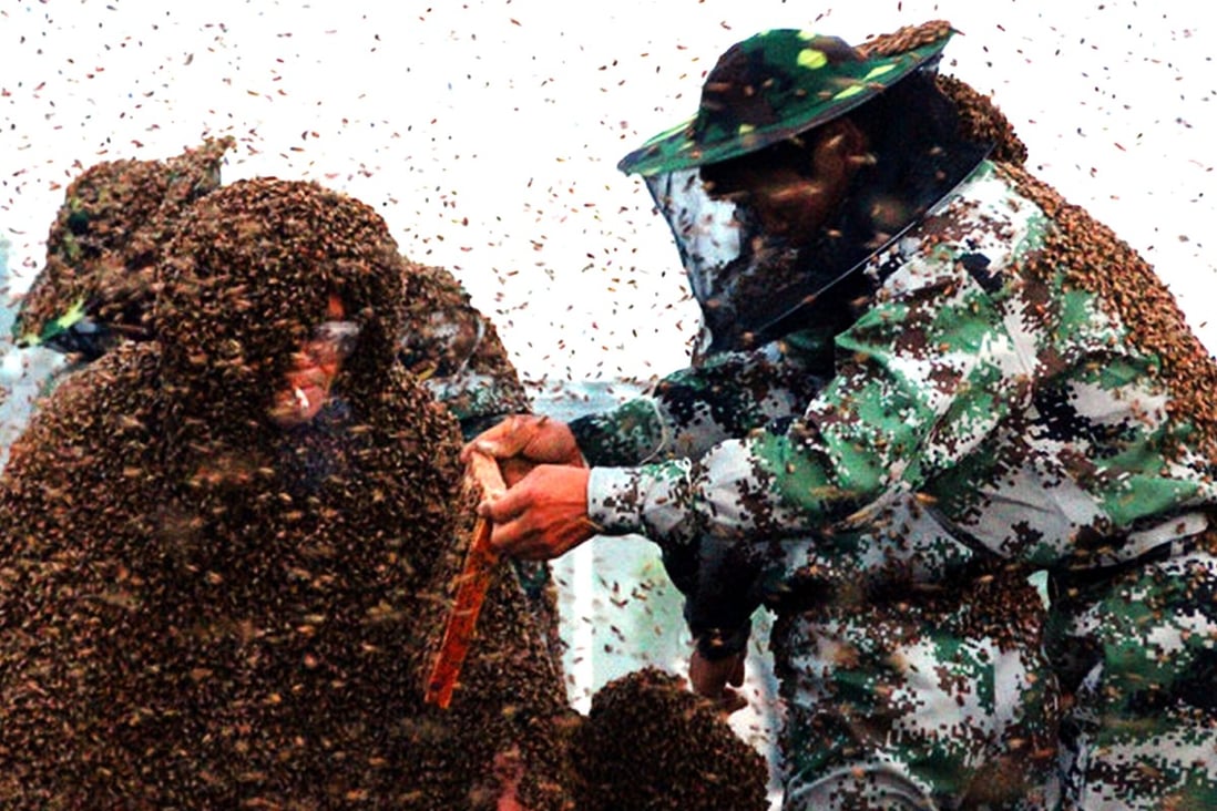 Unbeelievable Chinese Man Claims World Record After Covering Himself With A Million Bees