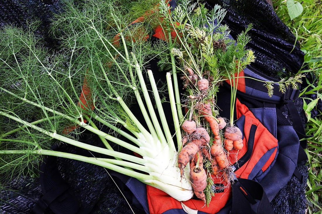 Five Hong Kong restaurants that grow their own produce South China