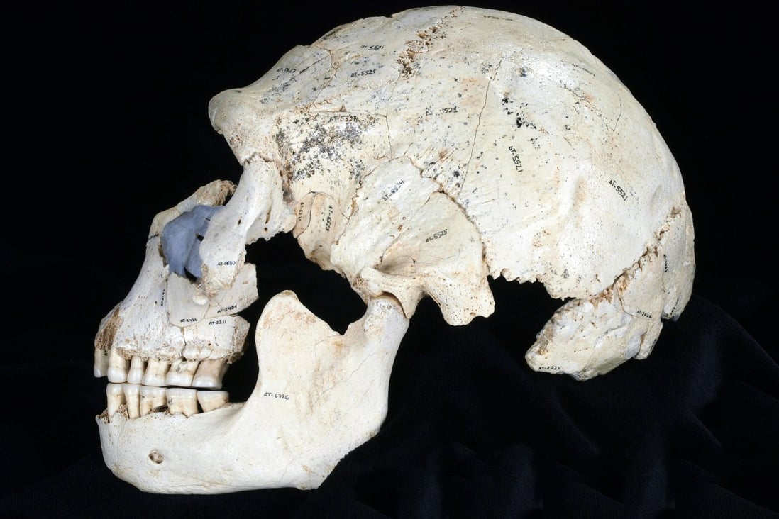 The skull suggests that violence and murder long predate the emergence of modern humans. Photo: Reuters