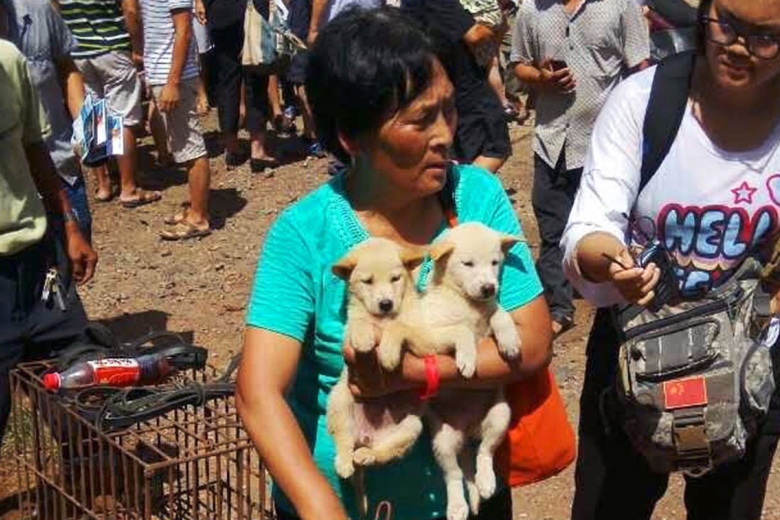Yang Xiaoyun buying dogs in Yulin. Photo: SCMP Pictures