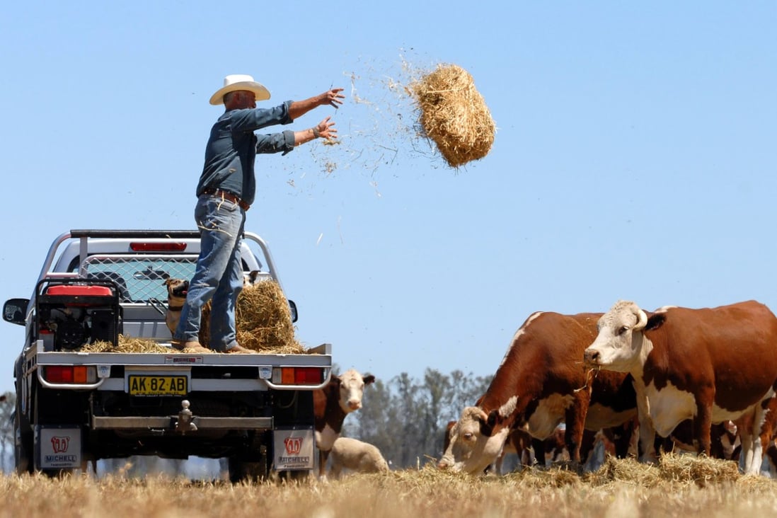 Australian billionaire Gina Rinehart's cattle station deal set to profit China's beef demand | South China Morning