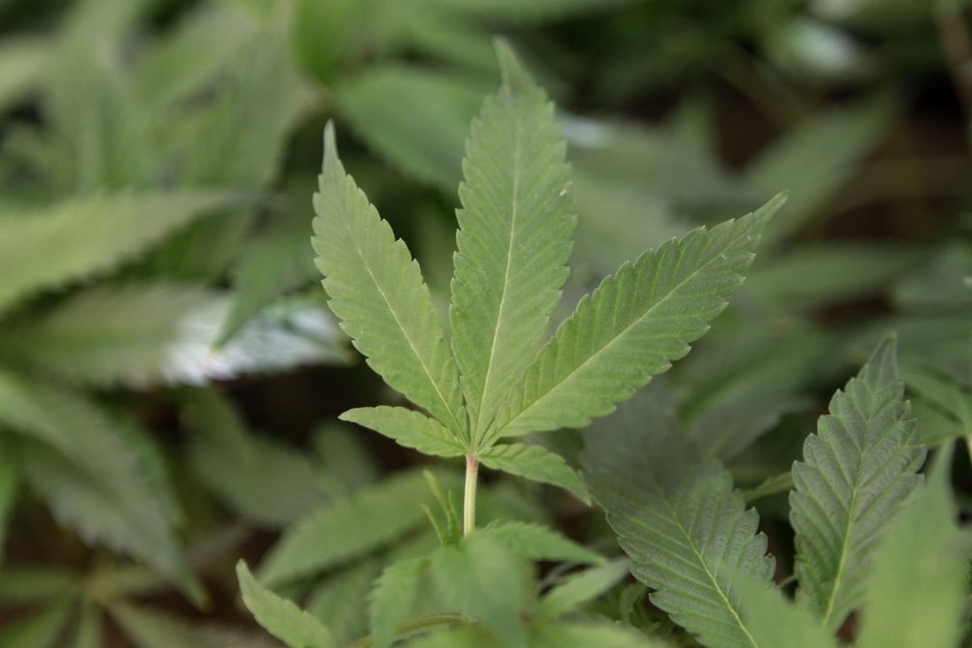 Researchers collected data on 35 online drug marketplaces that were active on the "Dark Web". Photo: AP