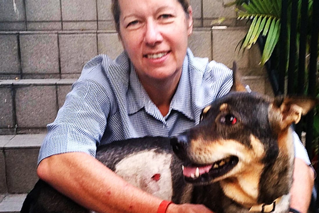 Stacy Tucker with her dog Pippa recovering at home after being attacked by the python. Photo: Red Door News