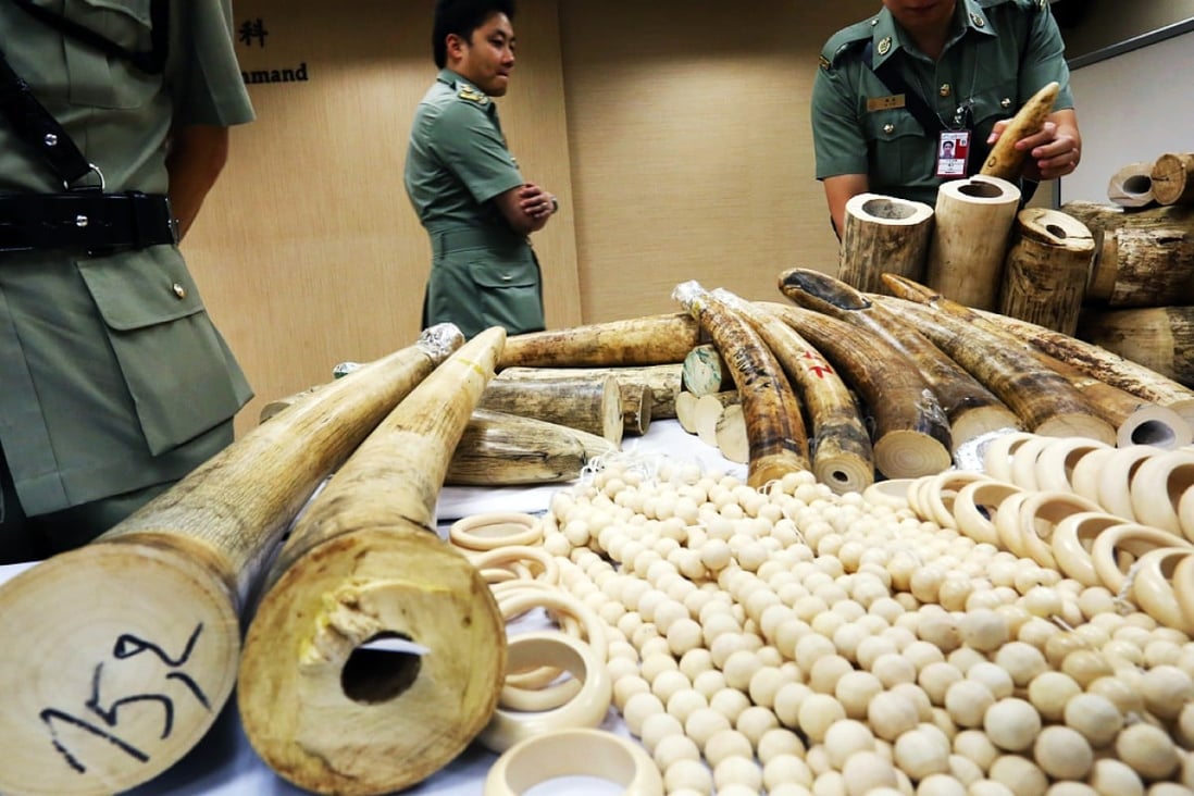 Courts in Hong Kong must get tough with illegal ivory trade criminals