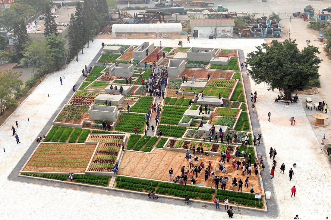 An aerial view of the Value Farm.  The project was a model for utilising Hong Kong rooftops. Photo: Thomas Chung