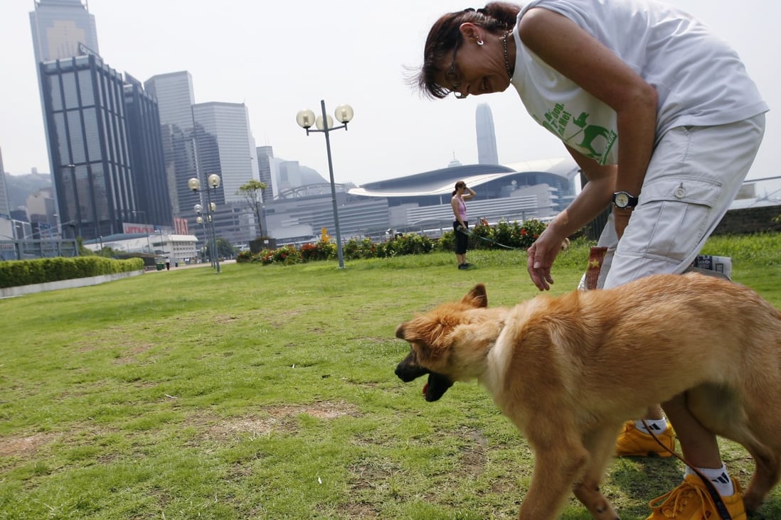 Noone in Hong Kong should be deprived of owning a dog South China