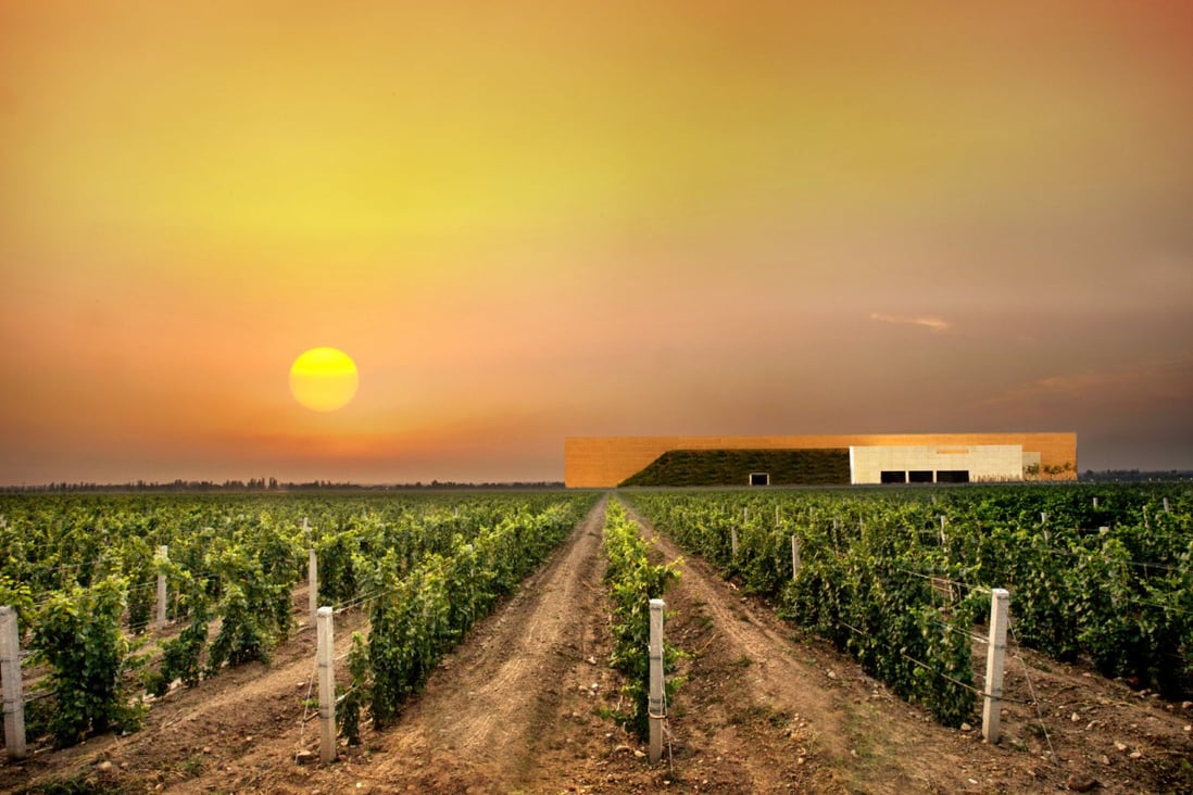 Ningxia is positioning itself as the Bordeaux of China, and some big producers are moving in. Photo: Courtesy of LVMH