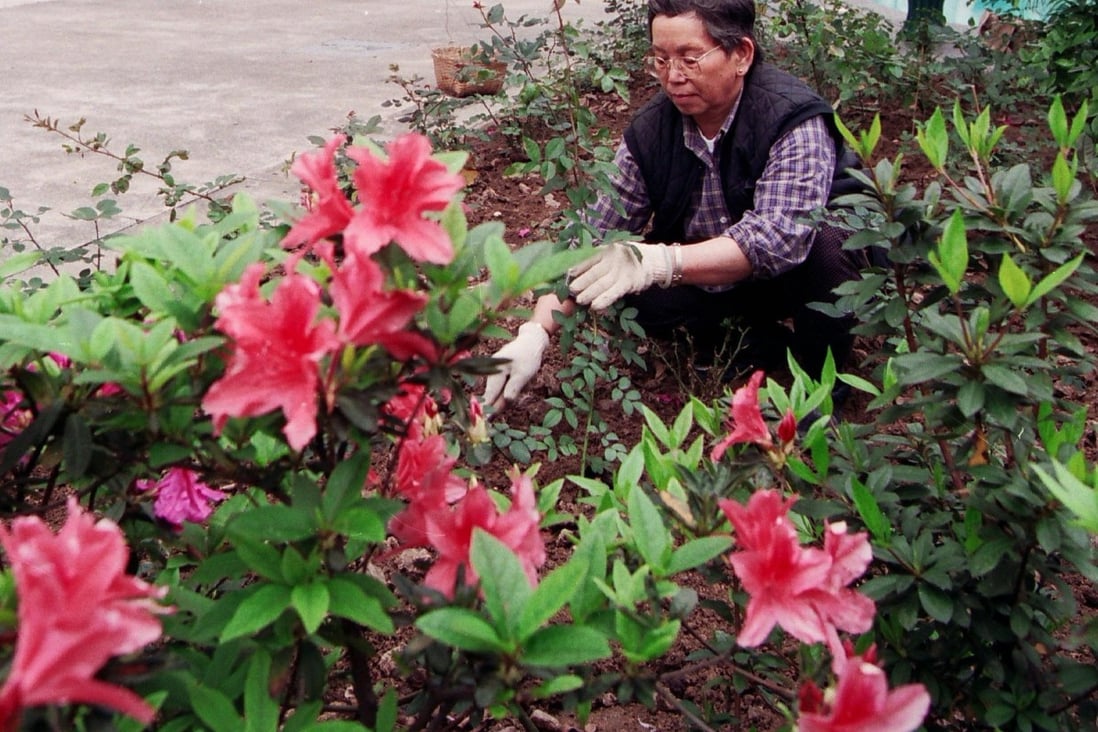 A gardener tends to the plants at Government House, in Central.