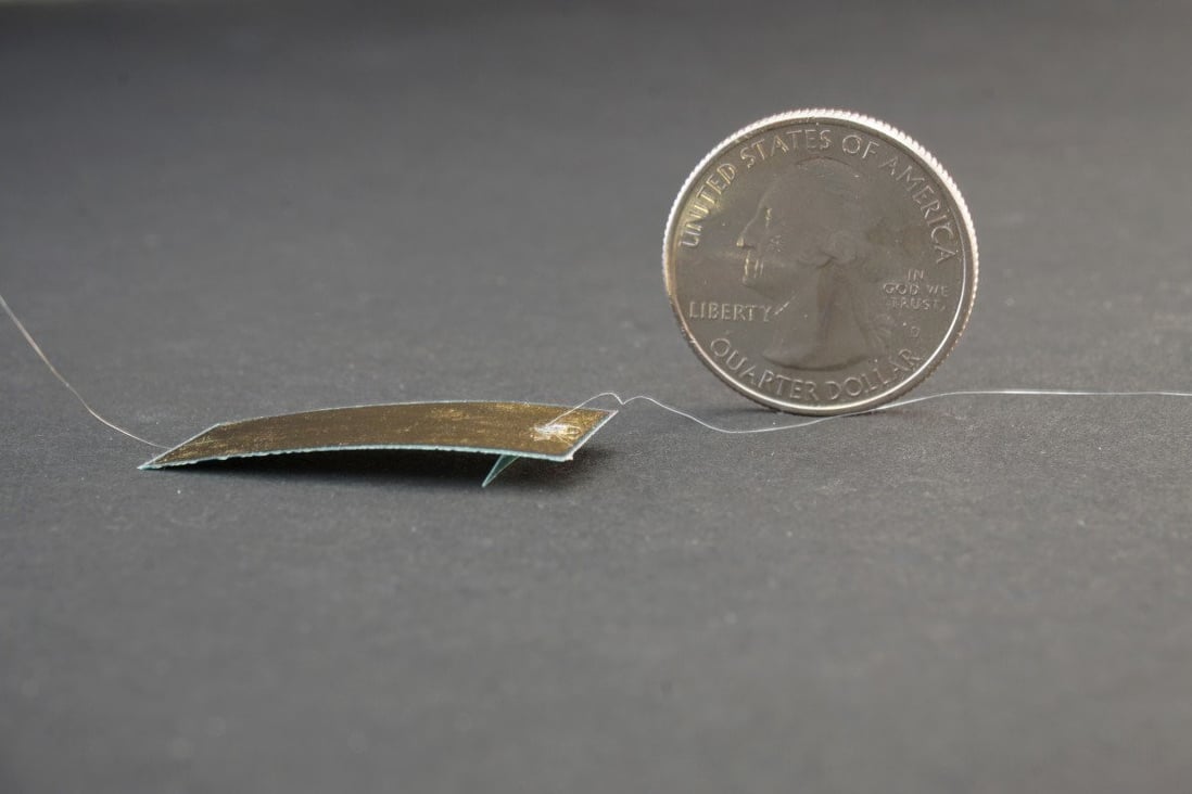A prototype soft robot, which is about the size of a postage stamp, was developed by a group of researchers from China and the US. Its design was inspired by the capabilities of the hardy cockroach. (Picture: Handout)