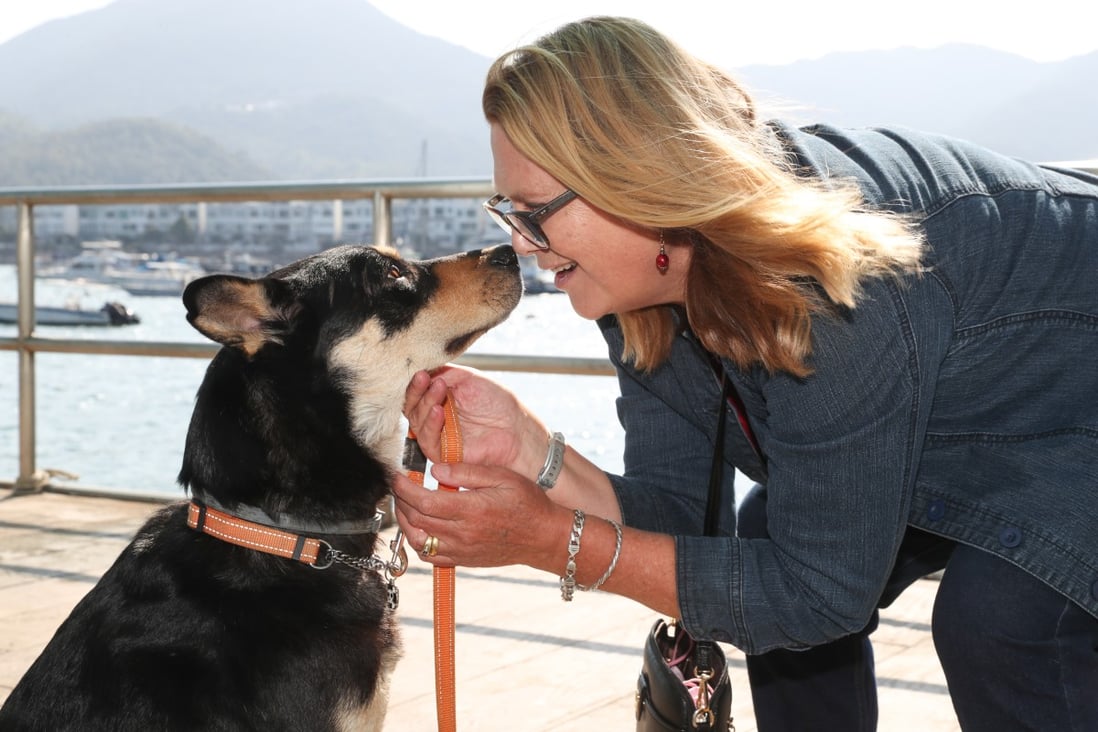 Former journalist Susan Bamber and her dog Sammy in Sai Kung, Having found that looking after a friend’s dog when he was away helped assuage her grief after the loss of her husband, the frend’s leaving Hong Kong for good triggered her to adopt Sammy from a refuge. Hong Kong. Photo: Edmond So