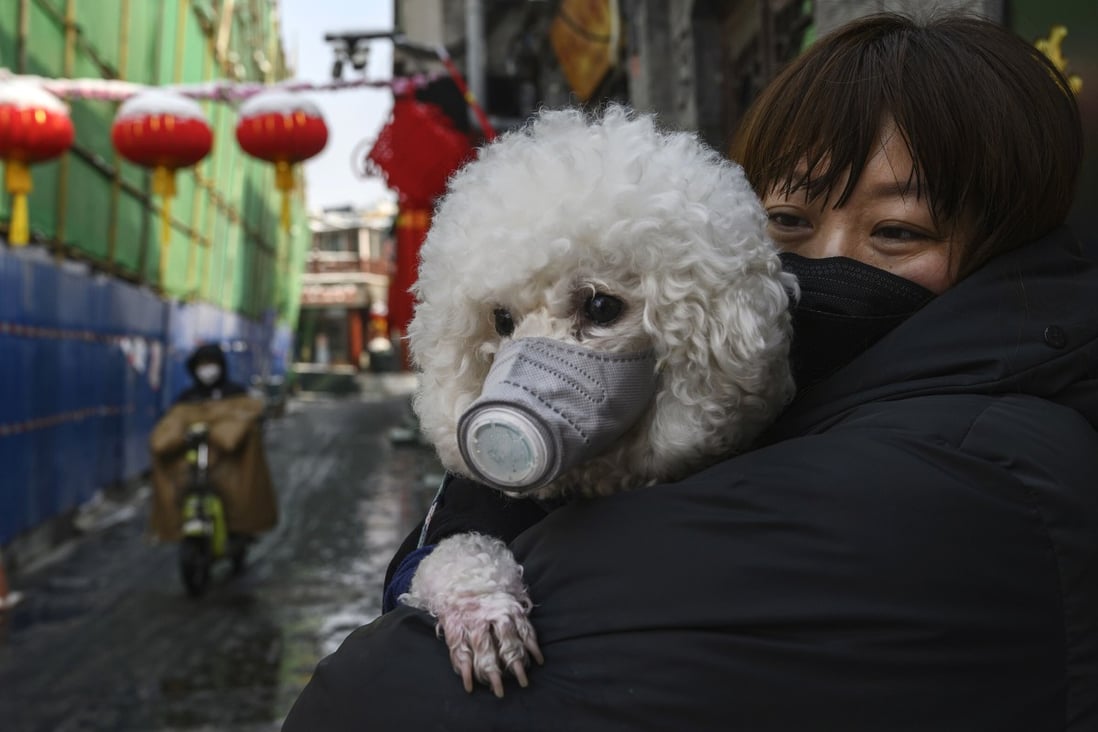 A woman holds her dog in Beijing, China. China’s pet owners are worried they will have to leave their furry friends behind if they have to go to quarantine. Photo: Getty Images