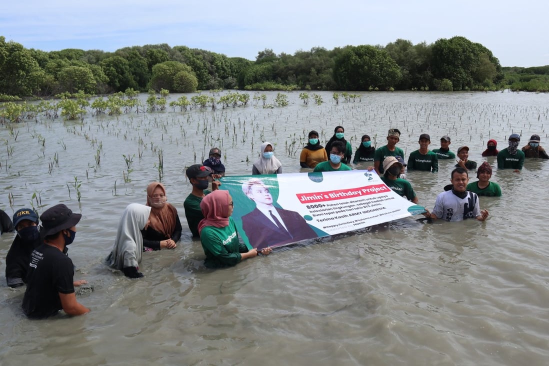 Members of NGO Kpop4Planet, supported by K-pop super band BTS’ fandom Army, plant mangroves in Indonesia for a project to mark the 26th birthday of BTS member Jimin. Photo: Kpop4Planet