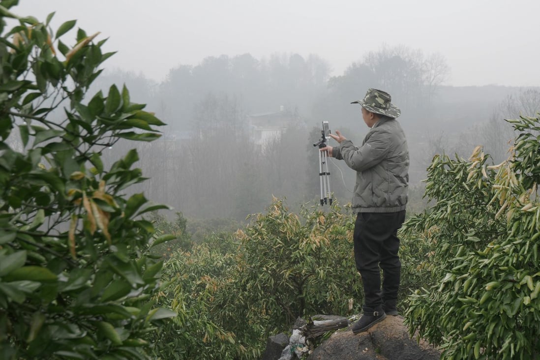 A fruit farmer live-streams from his farm in Zhangjiajie in Hunan province in September 2019. Photo: Chris Chang