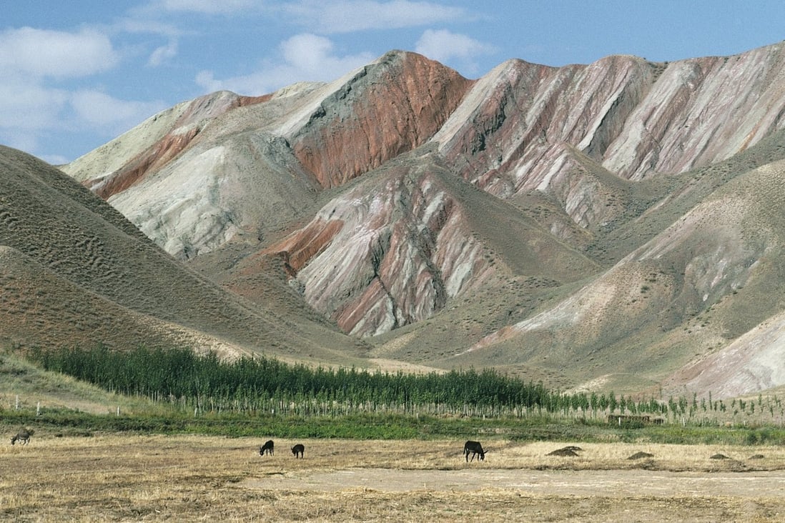 Record rainfalls due to climate change could mean an end to the deserts of Xinjiang, a study has found. Photo: Getty Images