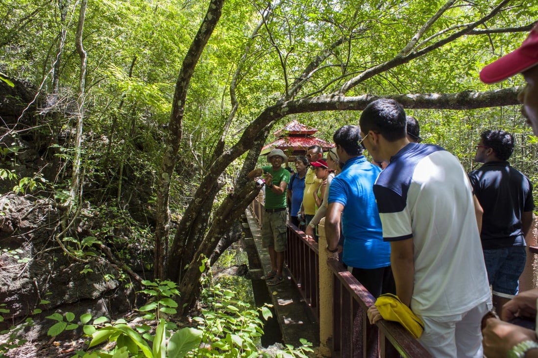 A guide takes tourists through a mangrove forest in Kilim Karst Geoforest Park in Langkawi,  Malaysia. Photo: Leisa Tyler/LightRocket via Getty Images