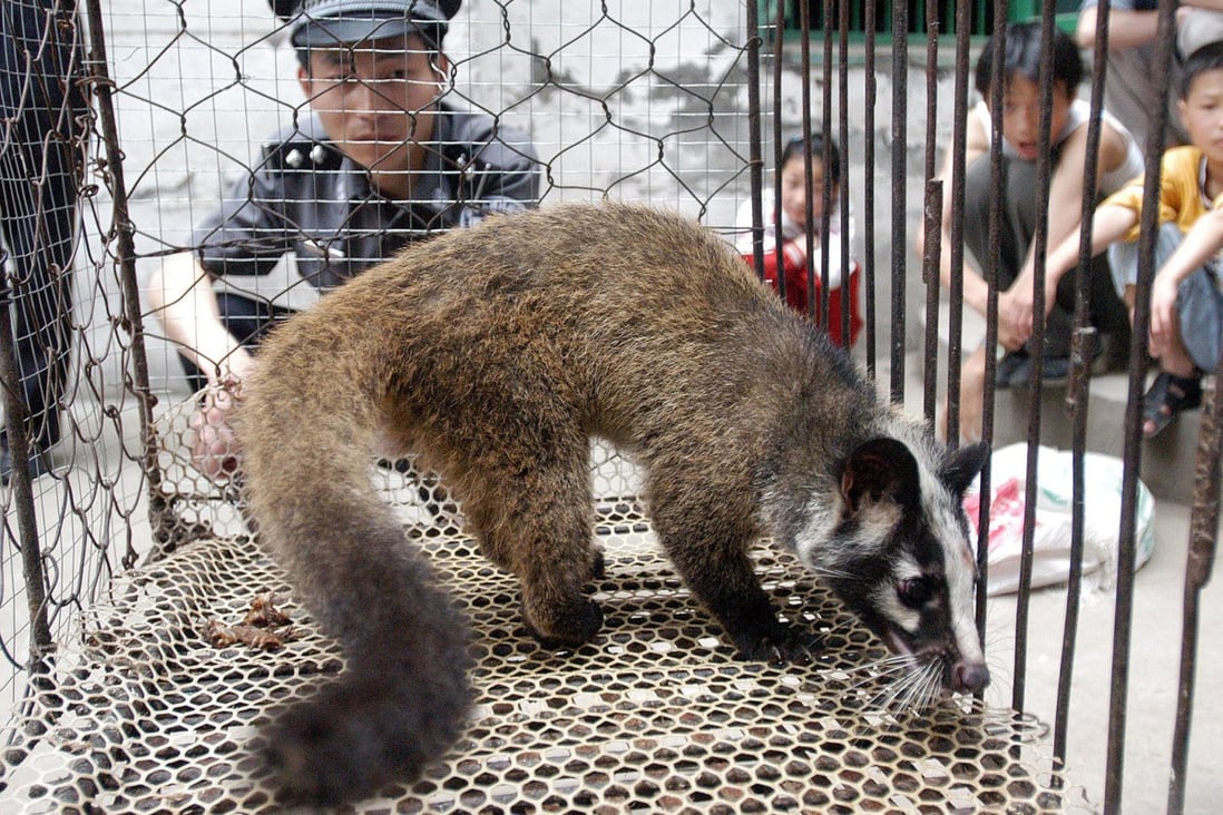 China is cracking down on the wildlife trade. Photo: AFP