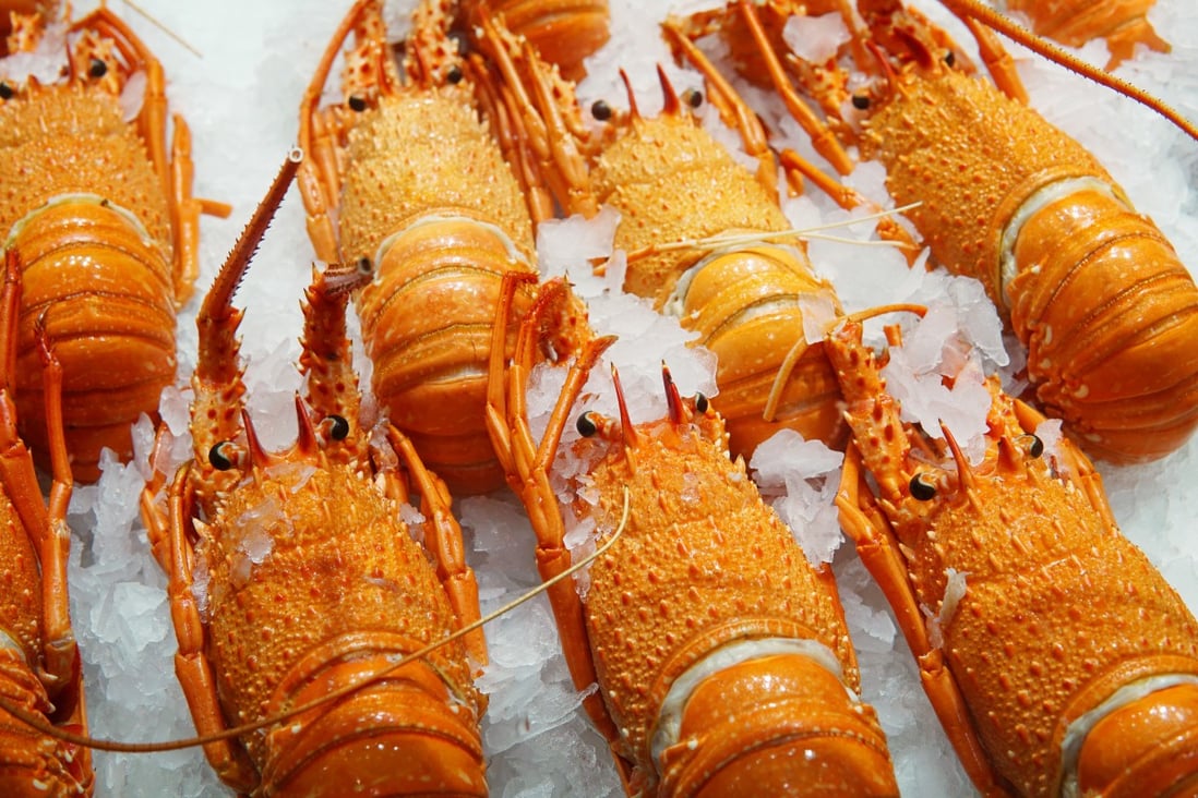 Australia’s annual export of roughly 11,000 tonnes of live rock lobsters came to a halt when China unofficially banned them in November. Photo: Shutterstock