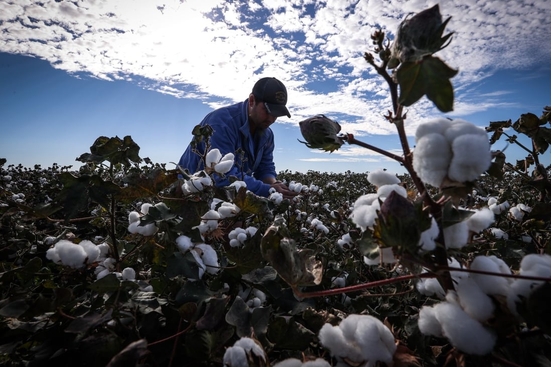 A withhold release order issued by US customs authorities effectively banned cotton products from Xinjiang should the importer be unable to prove that they were made without using forced labour. Photo: Bloomberg