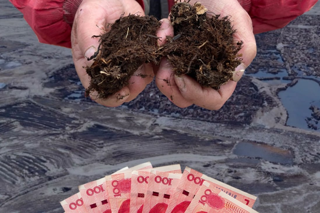 People are digging up scarce black soil, perfect for growing crops, in northeast China to make a quick buck. Photo: Handout/Tom Leung