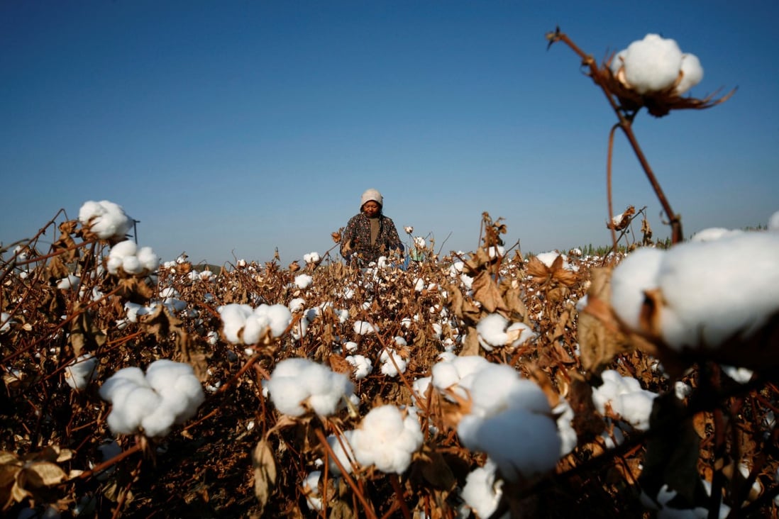 China has been trying to rebut accusations that forced labour is used in the Xinjiang textiles industry. Photo: Reuters