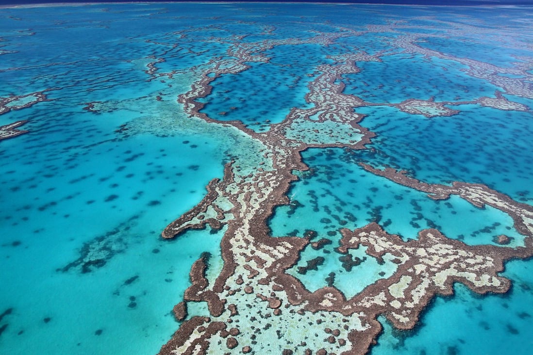 The Great Barrier Reef off the coast of Queensland, Australia, is in danger of being removed from the Unesco list of World Heritage Sites as it has lost half of its corals since 1995. Photo: Shutterstock