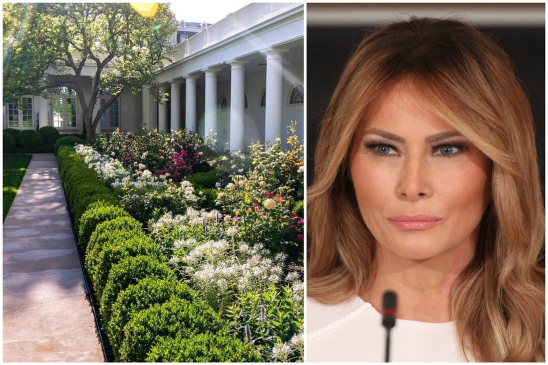 Did Melania Trump Really Ruin The White House Rose Garden Former First Lady Claps Back At Accusations She Eviscerated It As 80 000 Sign Petition To Restore Garden To Its Prior State