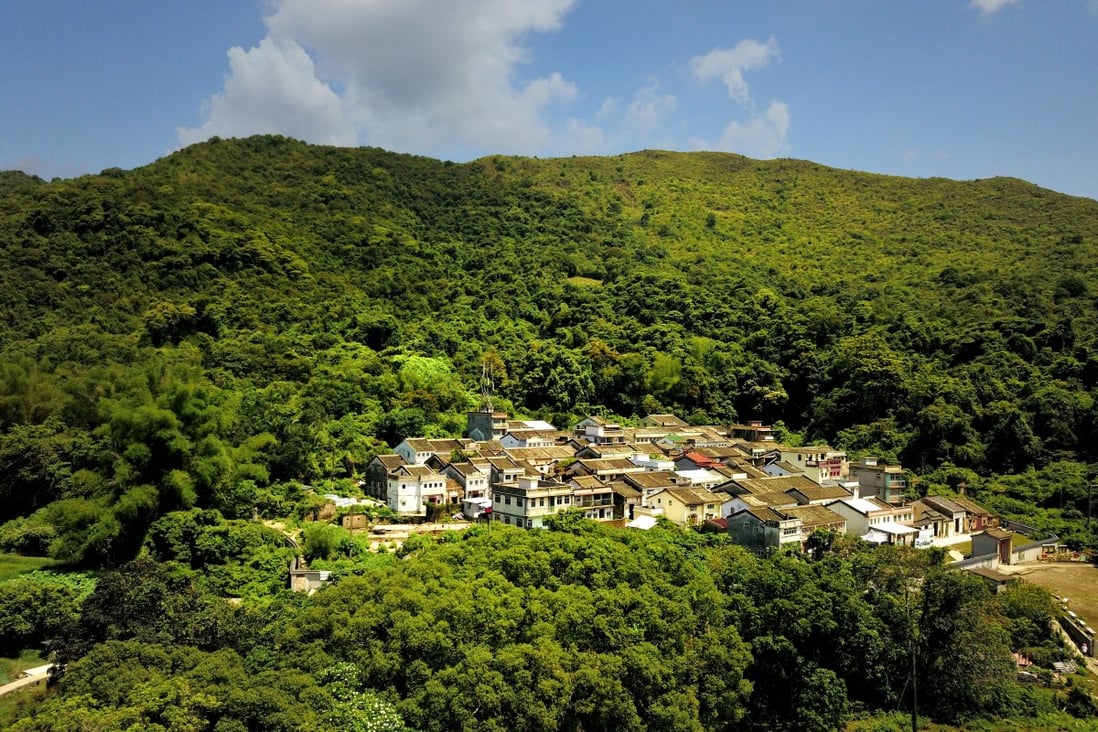 Organic coffee grown and roasted in Hong Kong the fruit of a