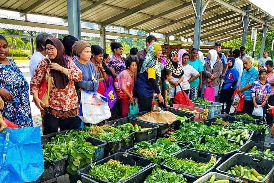 Malaysias Lost Food Project hopes to feed those in need and fight Biology Diagrams