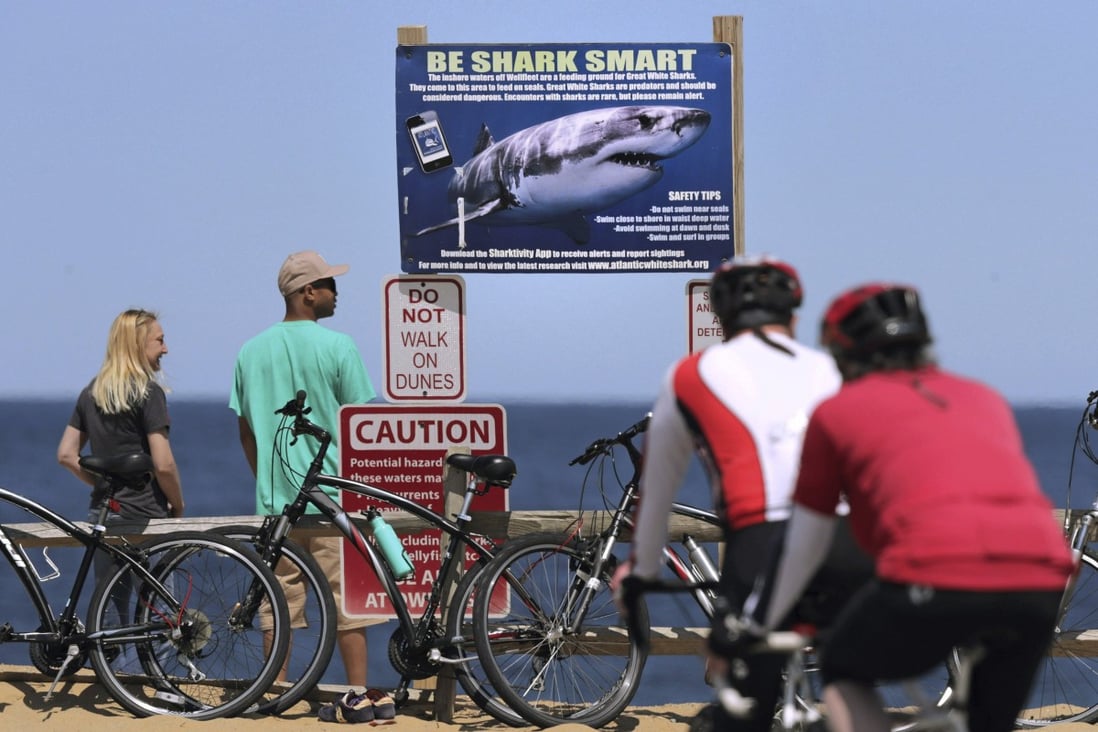Visitors stand next to a shark warning sign on Cape Cod, where a fatal shark attack occurred in 2018. Shark tourism in the area in the US state of Massachusetts is recovering.
Photo: AP