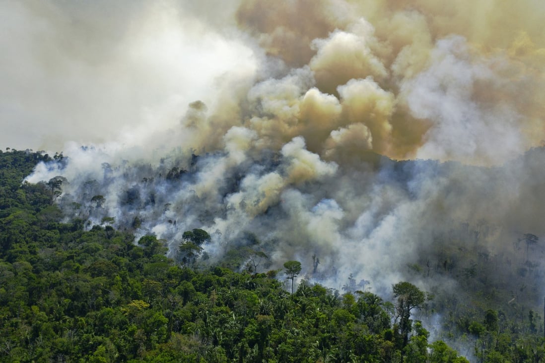 A burning area of the Amazon in Para state, Brazil, on August 16, 2020. Perhaps some friendly billionaires could club together to buy the rainforest? Photo: AFP