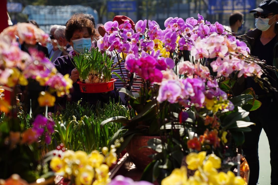 People shop for plants at the Lunar New Year Fair in Victoria Park, Causeway Bay, on February 7.  Photo: Sam Tsang