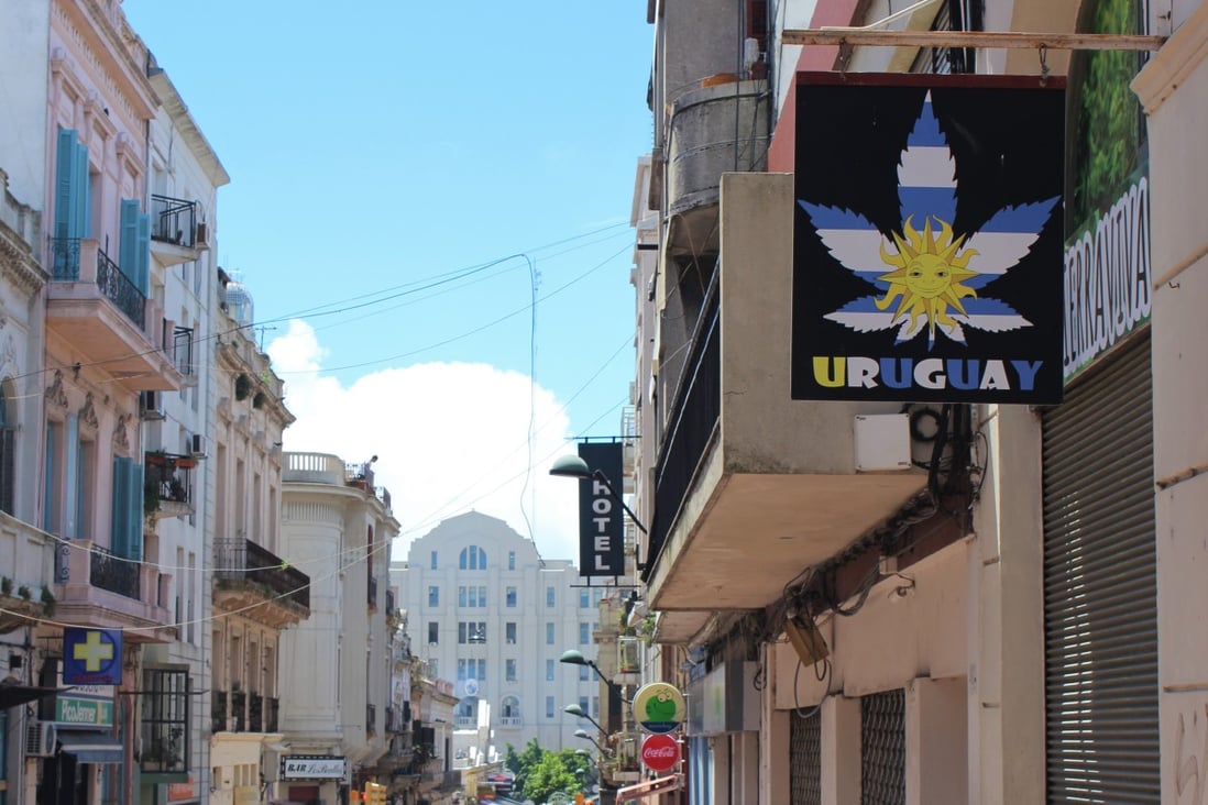 Uruguay is thinking about selling marijuana to tourists. A cannabis shop in Montevideo, Uruguay. Photo: Shutterstock
