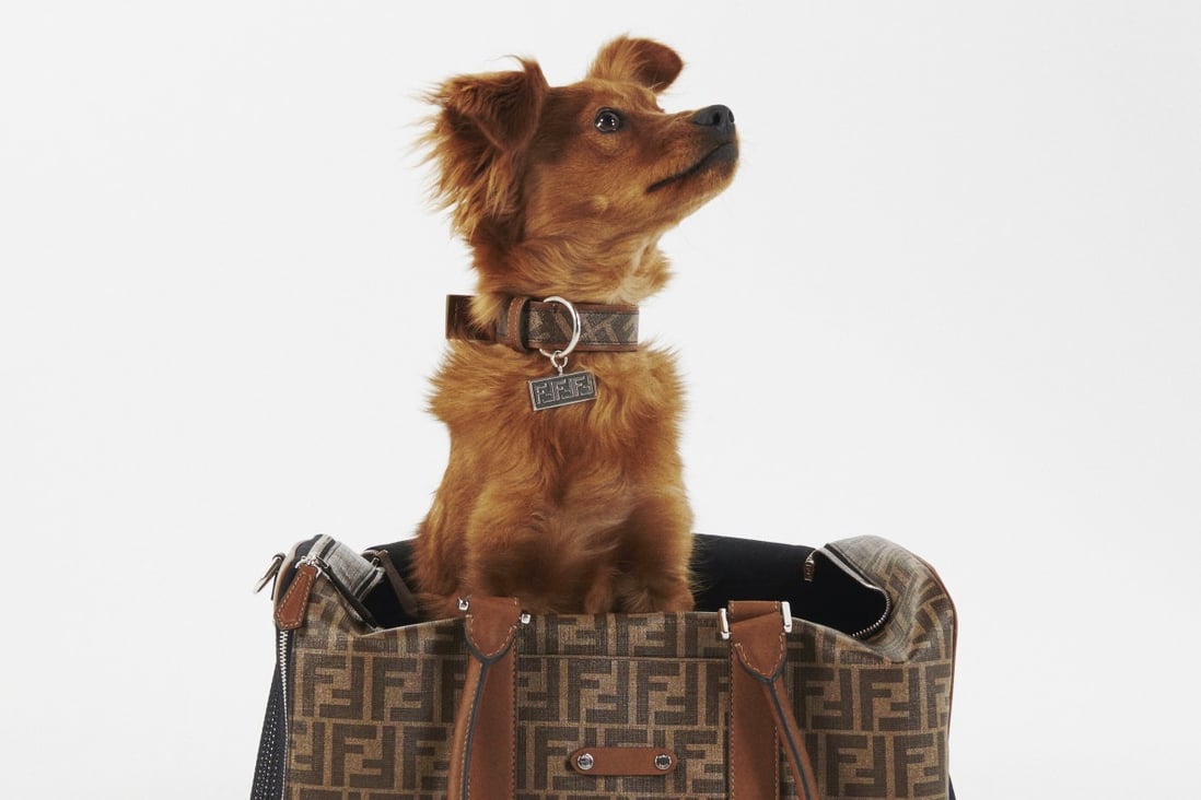 Glam up your pups with accessories by these luxury brands such as Fendi. Photo: Fendi