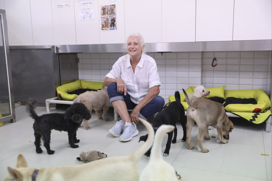 Sally Andersen, founder of Hong Kong Dog Rescue, with rescued dogs in Ap Lei Chau. Photo: Winson Wong