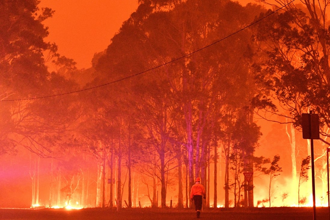 A firefighter walks towards burning trees during bushfires around the town of Nowra in the Australian state of New South Wales on December 31, 2019. Photo: AFP