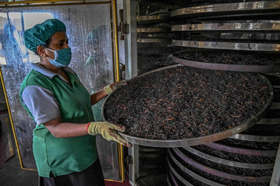 A worker at a tea plantation in Sri Lanka, where a drive to become the world’s first 100 per cent organic food producer has threatened its prized tea industry and triggered fears of a crop disaster that could deal a further blow to the beleaguered economy. Photo: AFP