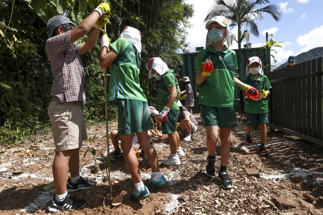 Year 4 pupils from ICHK Hong Lok Yuen in Tai Po plant a Miyawaki forest, an urban forestry method developed to cool spaces and capture carbon dioxide, as well as increase biodiversity, on August 23. Photo: Jonathan Wong