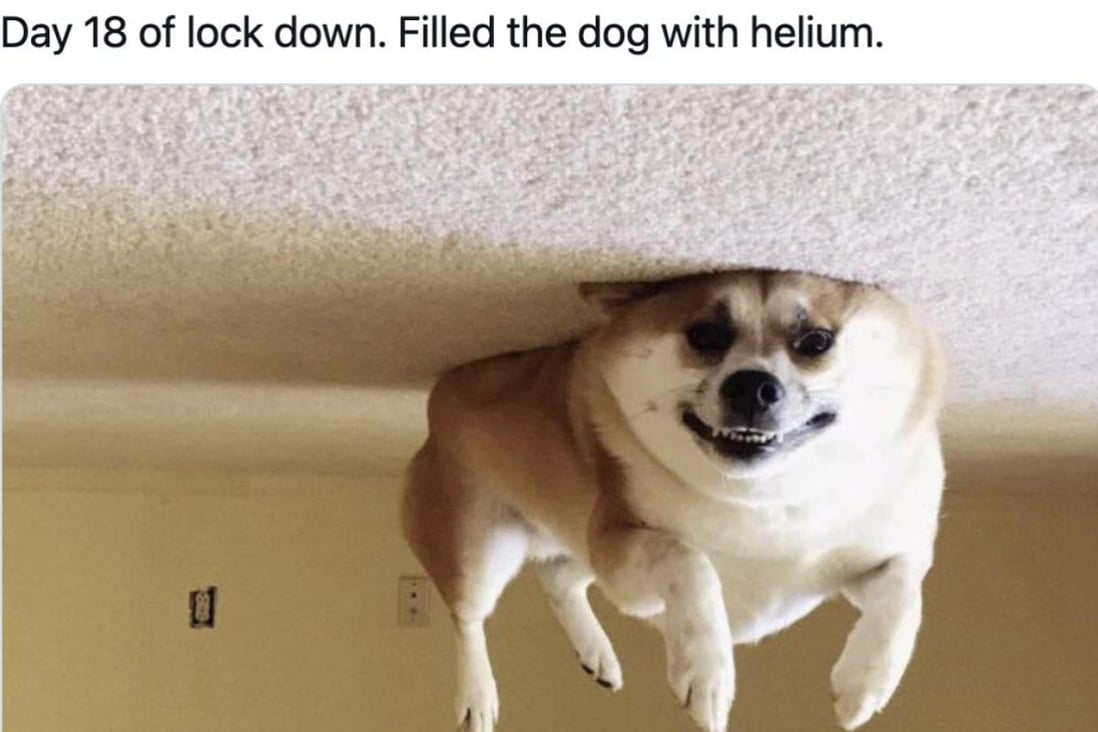 Funny Memes Online Are Helping People Cope With The Coronavirus Pandemic Study Suggests Especially If They Re About Covid 19 South China Morning Post Funny Memes Online Are Helping People Cope With The Coronavirus Pandemic Study Suggests Especially If They Re About Covid 19 South China Morning Post