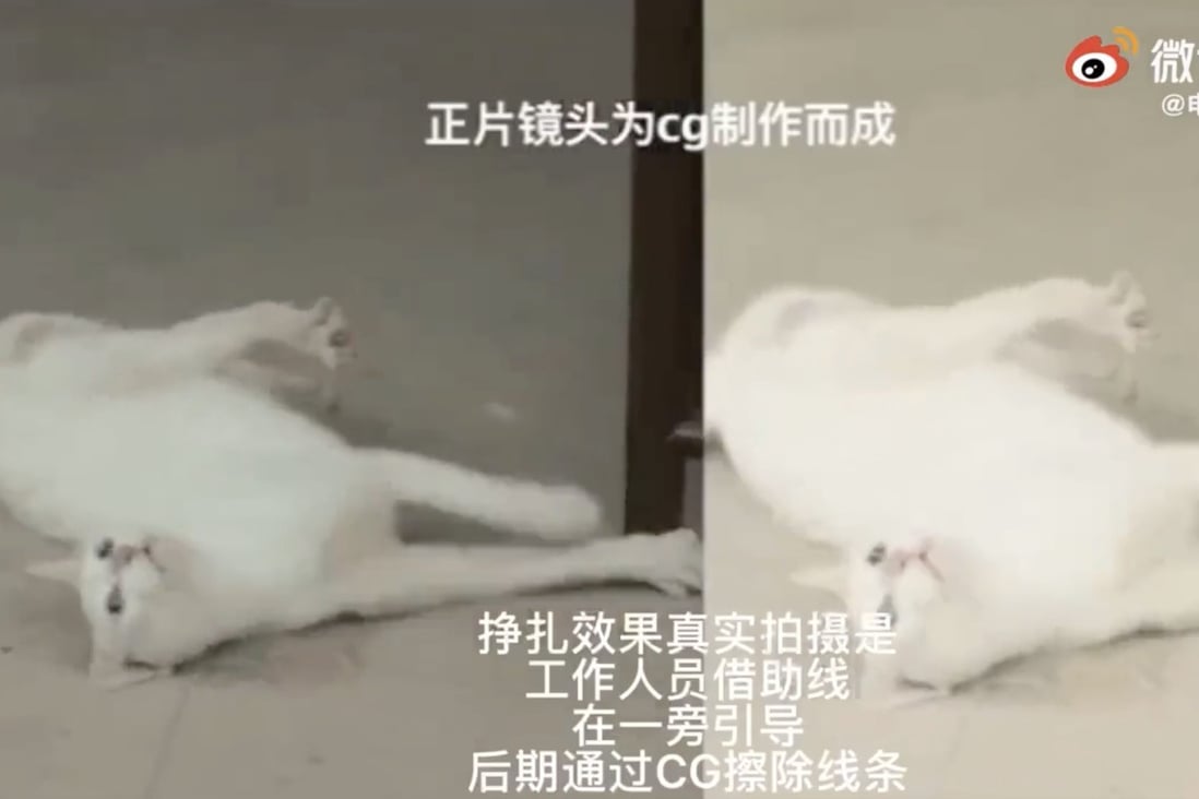 A Chinese television show had to release a behind-the-scenes video explaining how the team had made the cat’s death look realistic. Photo: Marvelous Women