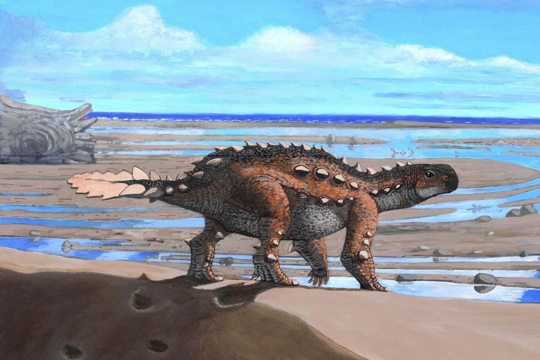 Stegouros fossils found in Chile show the dinosaur species had a unique slashing tail weapon. Illustration: Luis Perez Lopez via AP