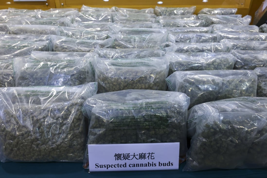 Hong Kong customs has confiscated HK$33 million worth of cannabis buds in a recent crackdown on party drugs. Photo: Dickson Lee