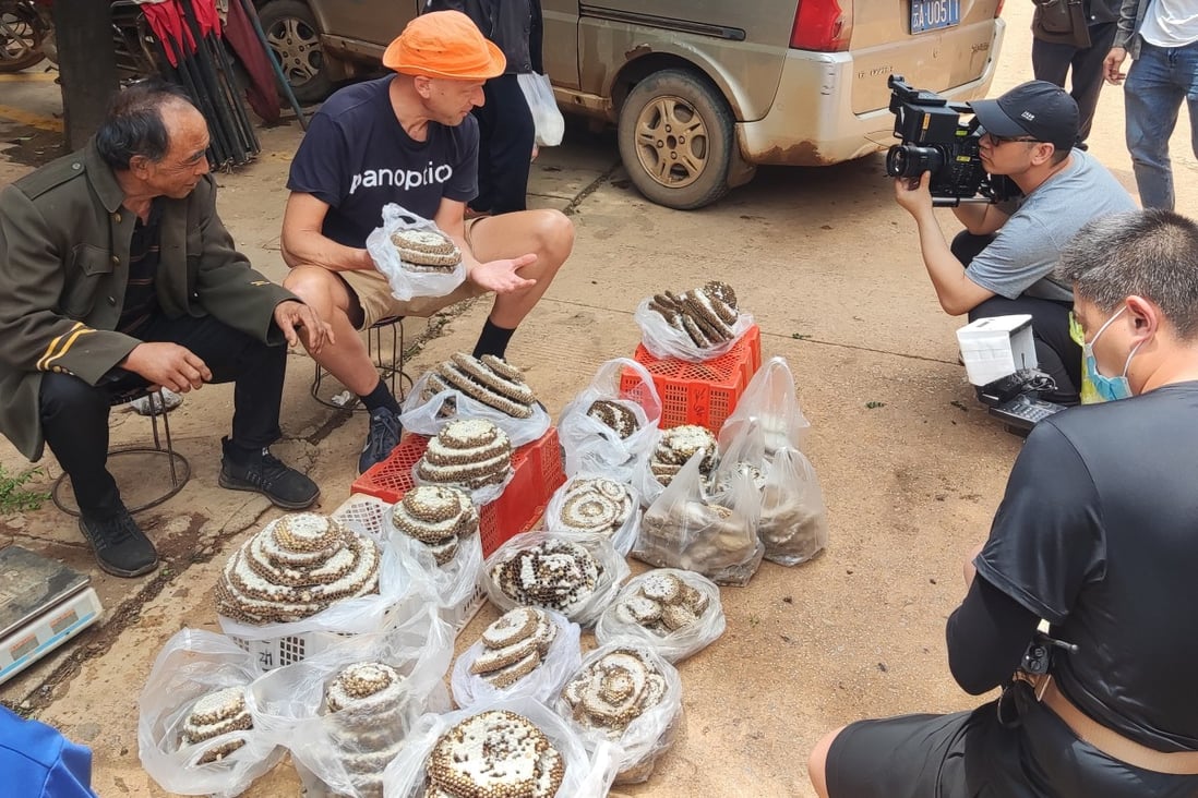 Dominic Johnson-Hill is filmed interviewing hornets’ nest traders in Yunnan for documentary series Seasons of China. During filming, he and a crew member were both stung several times by the insects. Photo: Dominic Johnson-Hill