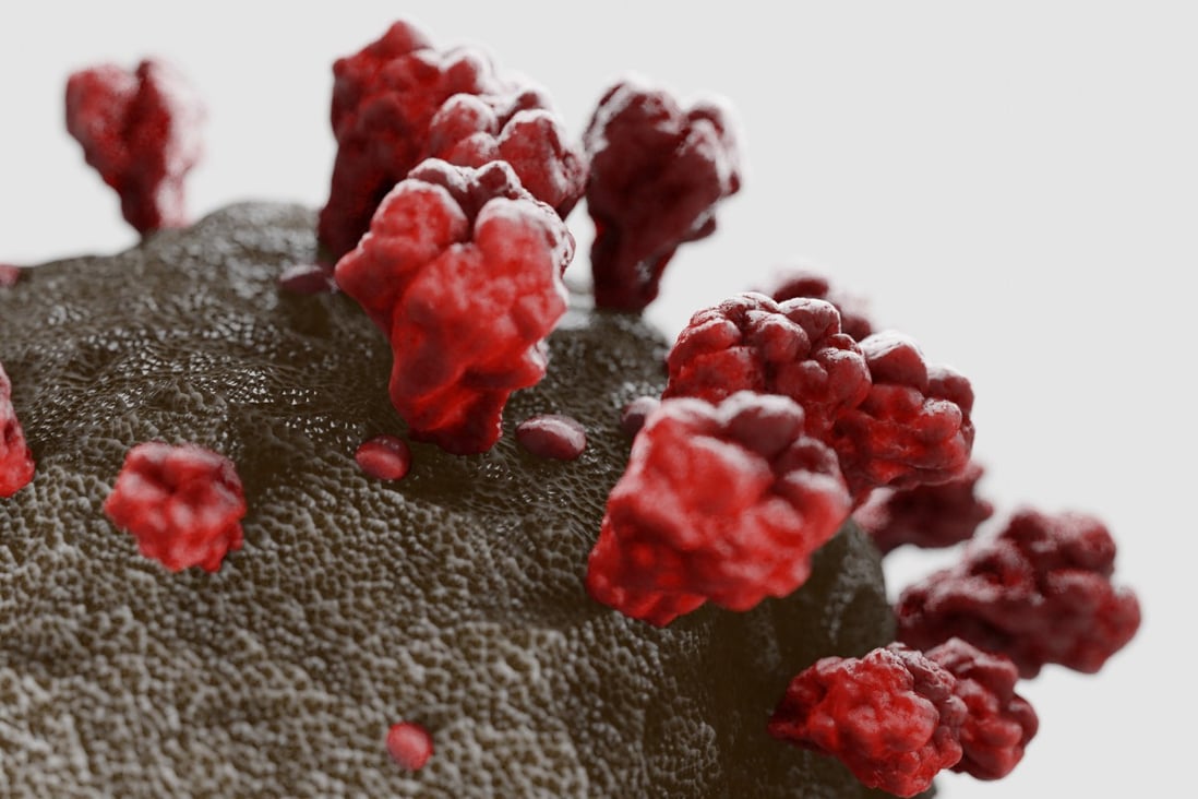 3D art based in microscope images of the coronavirus. Photo: Getty Images